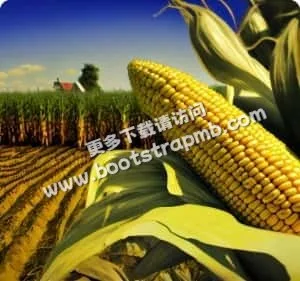 安全投注，安心畅玩 - 宝威体育chenruixin