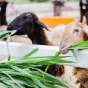 搜索 - 宝威体育chenruixin